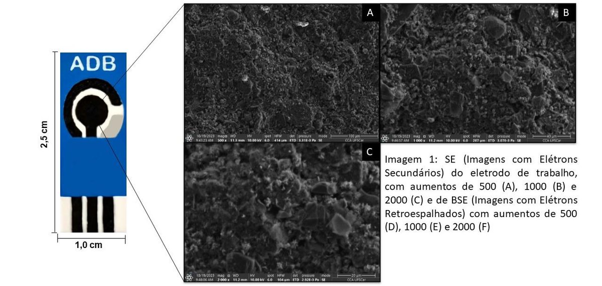 Imagens de microscopia eletrônica de varredura da superfície do eletrodo de trabalho impresso da ADB